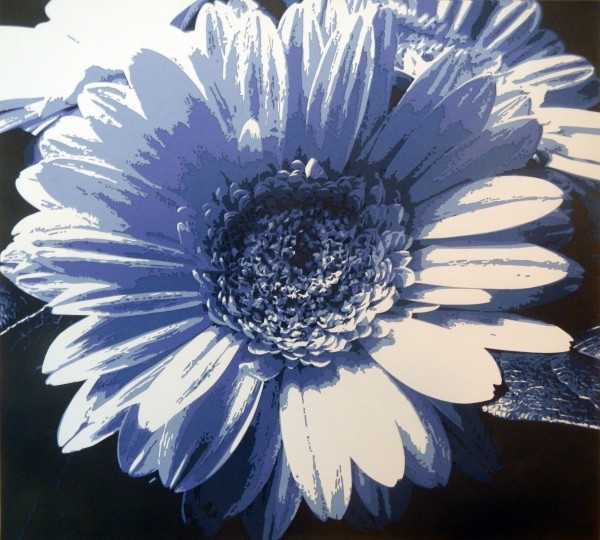 Gerbera Daisy (Blue)